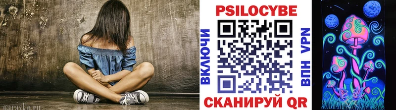 Псилоцибиновые грибы Psilocybe  как найти закладки  Людиново 